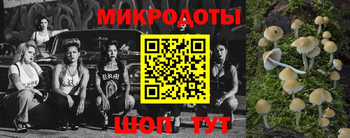 Гурьевск  Галлюциногенные грибы мицелий  Вход с VPN 