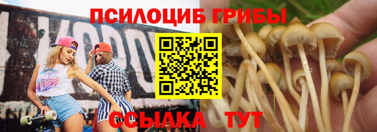 Псилоцибиновые грибы мухоморы Гурьевск